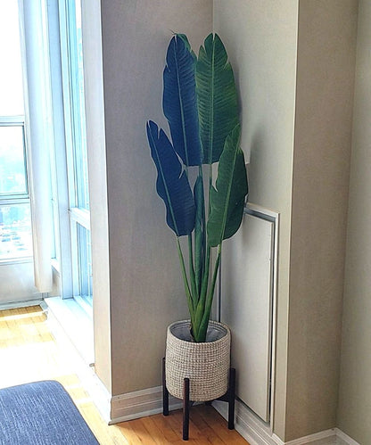 Diosa - White Seagrass Planter