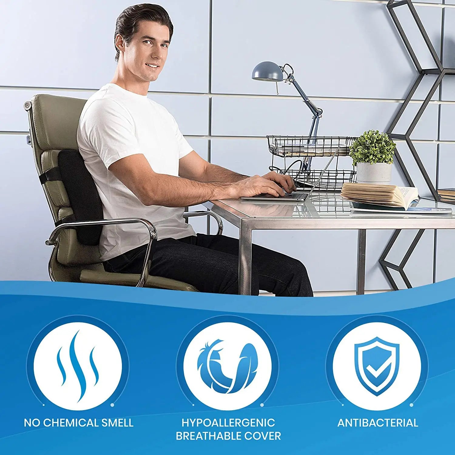 Lumbar Support Pillow Automotive Waist Cushion