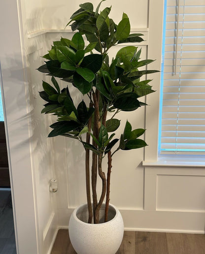 Encanto Artificial Rubber Potted Plant (Multiple Sizes)