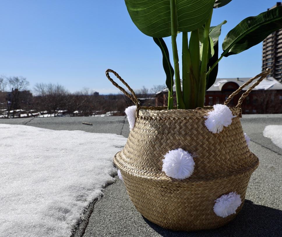 Bomba - Seagrass Basket With White Pompoms