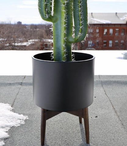 Ceza - 黃銅現代植物架，帶黑色花盆