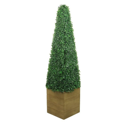Mayer Potted Boxwood Topiary Plant (Multiple Sizes)
