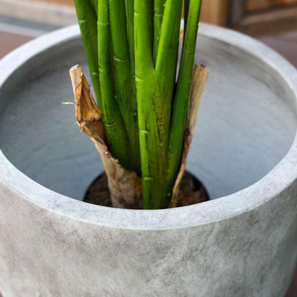 Berto Cement Planter 15''