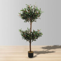 Sandy Potted Boxwood Topiary Plant 4.3'