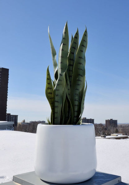 Fabi - White Brass Floor Planter