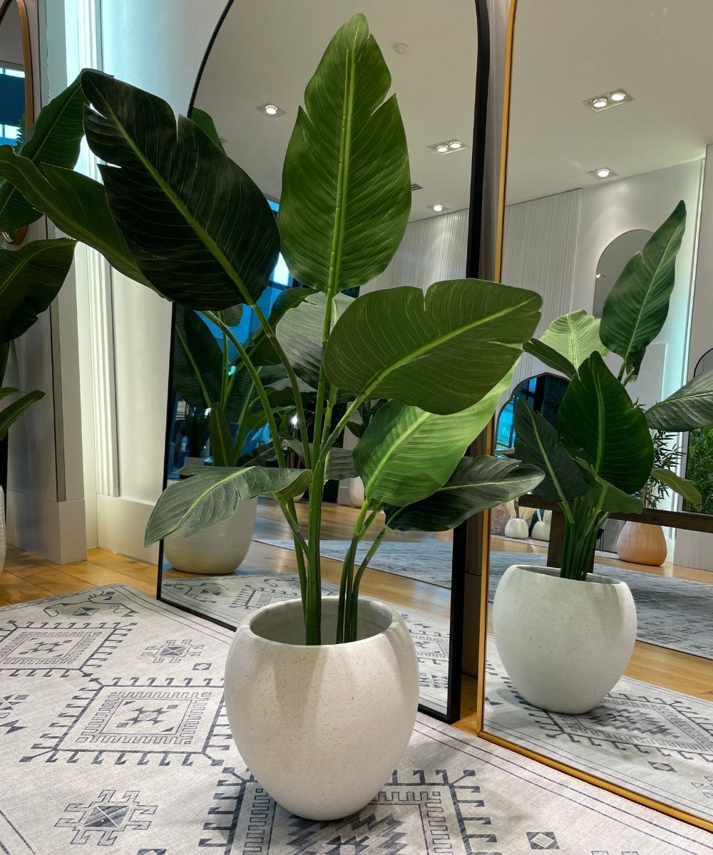 Merida Round Cement Planter (Multiple Sizes)