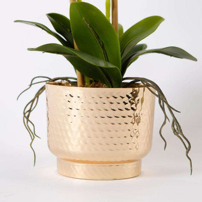 Gladiola Faux Potted Orchid Floral Arrangement 24 Inches