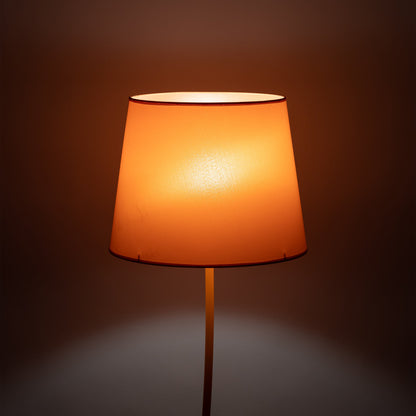 NICOLA Orange Mid-Century Modern Floor Lamp