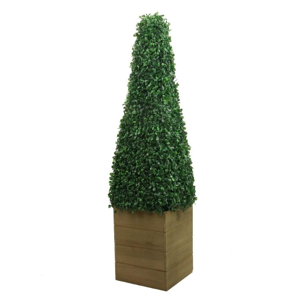 Mayer Potted Boxwood Topiary Plant (Multiple Sizes)