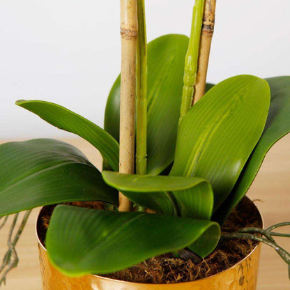 Gladiola Faux Potted Orchid Floral Arrangement 24 Inches