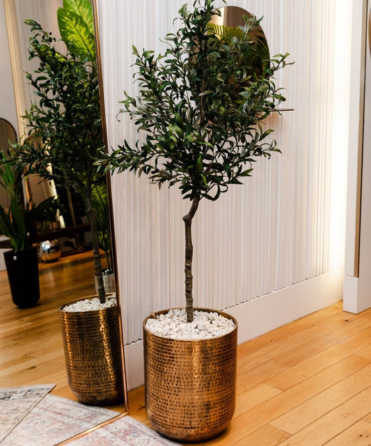 Bertooo - 黃銅中世紀花盆