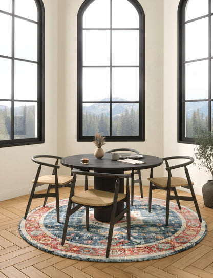 Dilara Multi Color Red Blue Rug