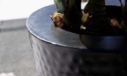 Mesa - Black Brass Planter (Multiple Sizes)