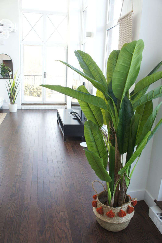 安娜人造香蕉樹盆栽（多種尺寸）