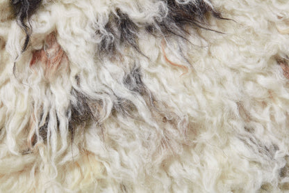 Guanaco Black / Ivory