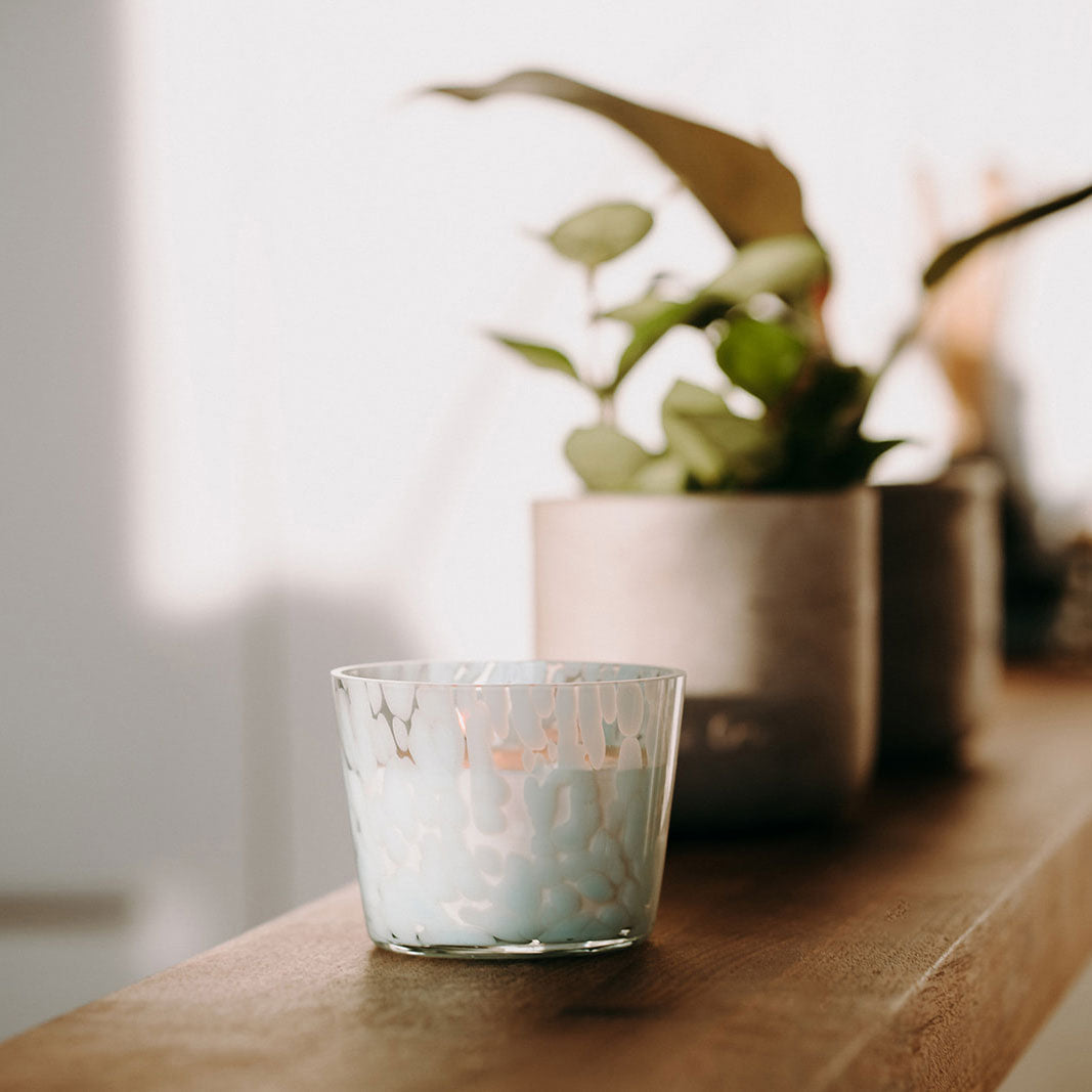 歐泊白楊 - 冷杉香氛蠟燭