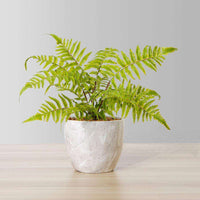 Bera Potted Faux Fern Artificial Plant