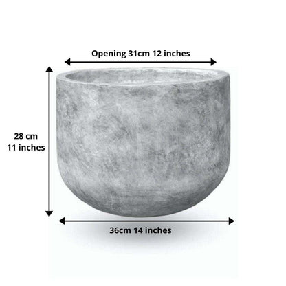 Berto Cement Planter 15''