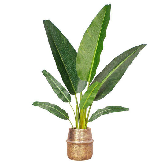 Bonita - 藤條黃銅飾面花盆