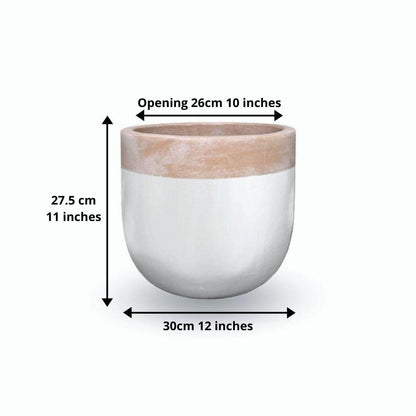 卡米洛釉面花盆 12 英寸