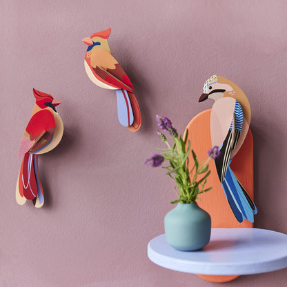 Cardinals