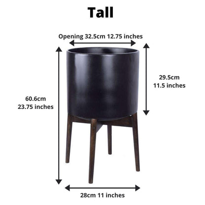 Ceza - 黃銅現代植物架，帶黑色花盆
