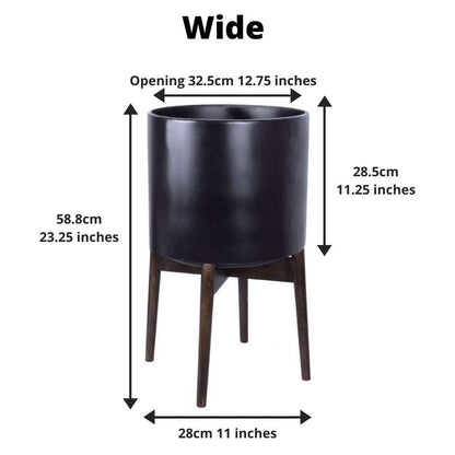 Ceza - 黃銅現代植物架，帶黑色花盆