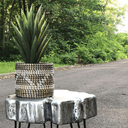 Cobra - Seagrass Planter