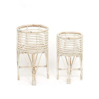 卡多藤製花盆（多種尺寸）