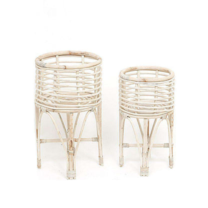 卡多藤製花盆（多種尺寸）