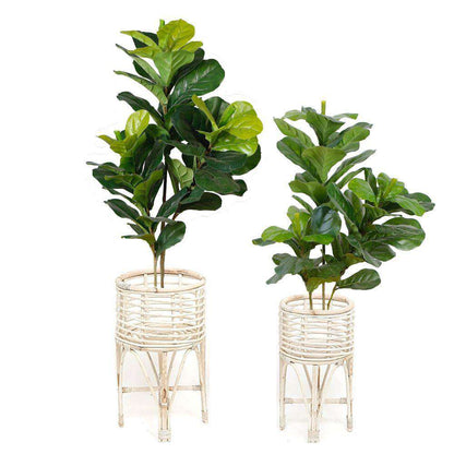 卡多藤製花盆（多種尺寸）