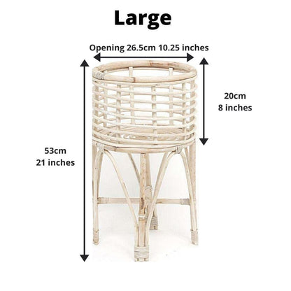 卡多藤製花盆（多種尺寸）