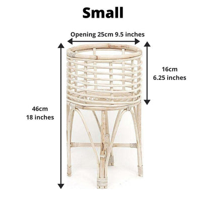 卡多藤製花盆（多種尺寸）