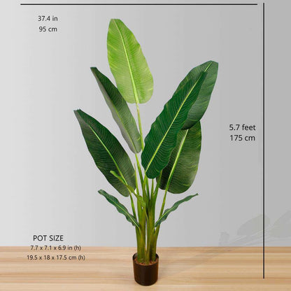Dani Artificial Travellers Palm Tree Potted Plant (Multiple Sizes)