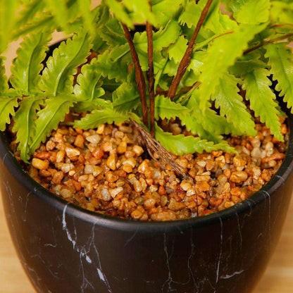 Dasa Potted Faux Fern