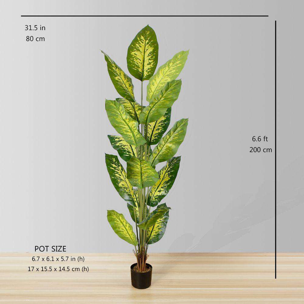 Dira Artificial Evergreen Potted Plant (Multiple Sizes)