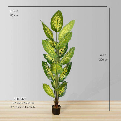 Dira Artificial Evergreen Potted Plant (Multiple Sizes)