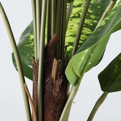 Dira Artificial Evergreen Potted Plant (Multiple Sizes)