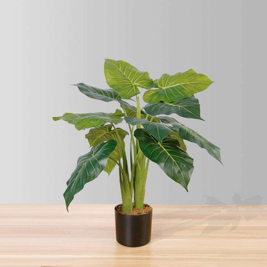 Dora Artificial Alocasia Potted Plant 28"