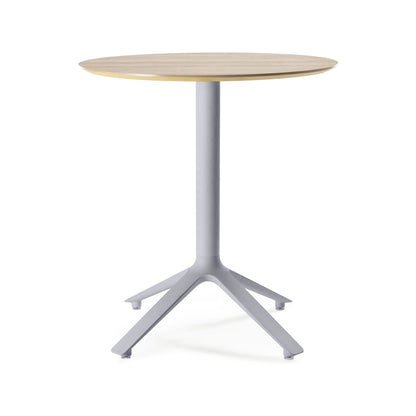 EEX Dining Table Wooden Top Indoor