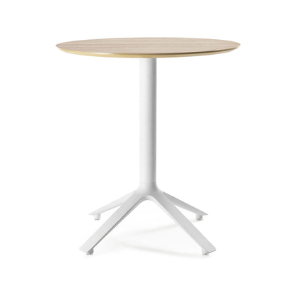 EEX Dining Table Wooden Top Indoor