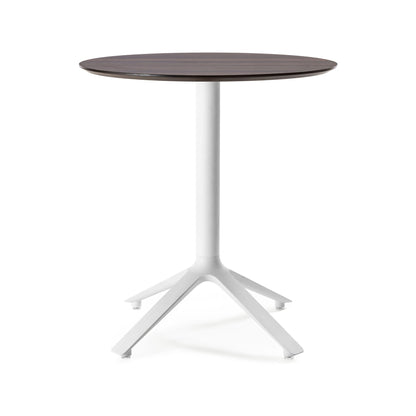 EEX Dining Table Wooden Top Indoor