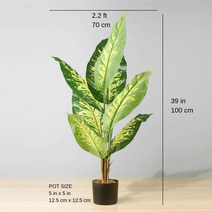 Eren Artificial Evergreen Potted Plant 39''