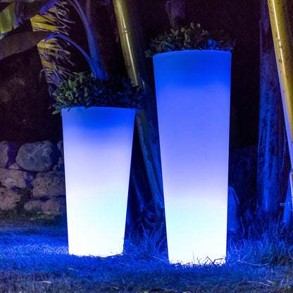 Ficus Solar & Rechargeable