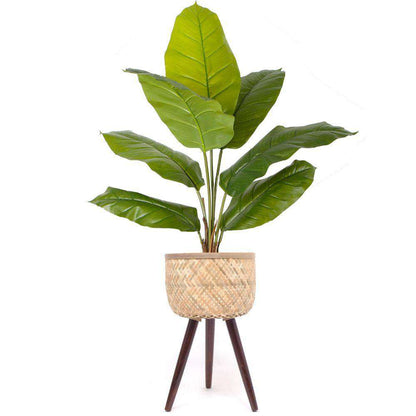 Flar Bamboo Planter On Wooden Stand