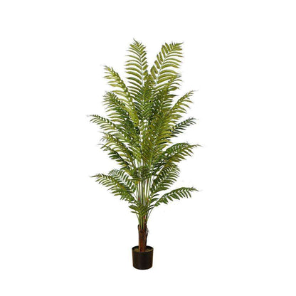 Gali Artificial Fern Potted Plant 5'