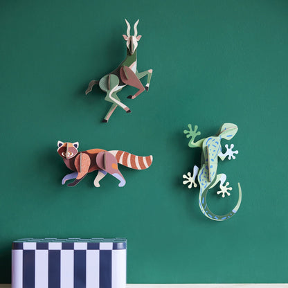 Wild Animal - Gecko