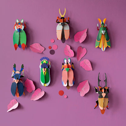 Giant Stag Beetle