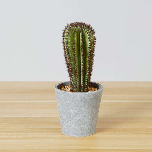Goza Artificial Cactus Tree Potted Plant 9"