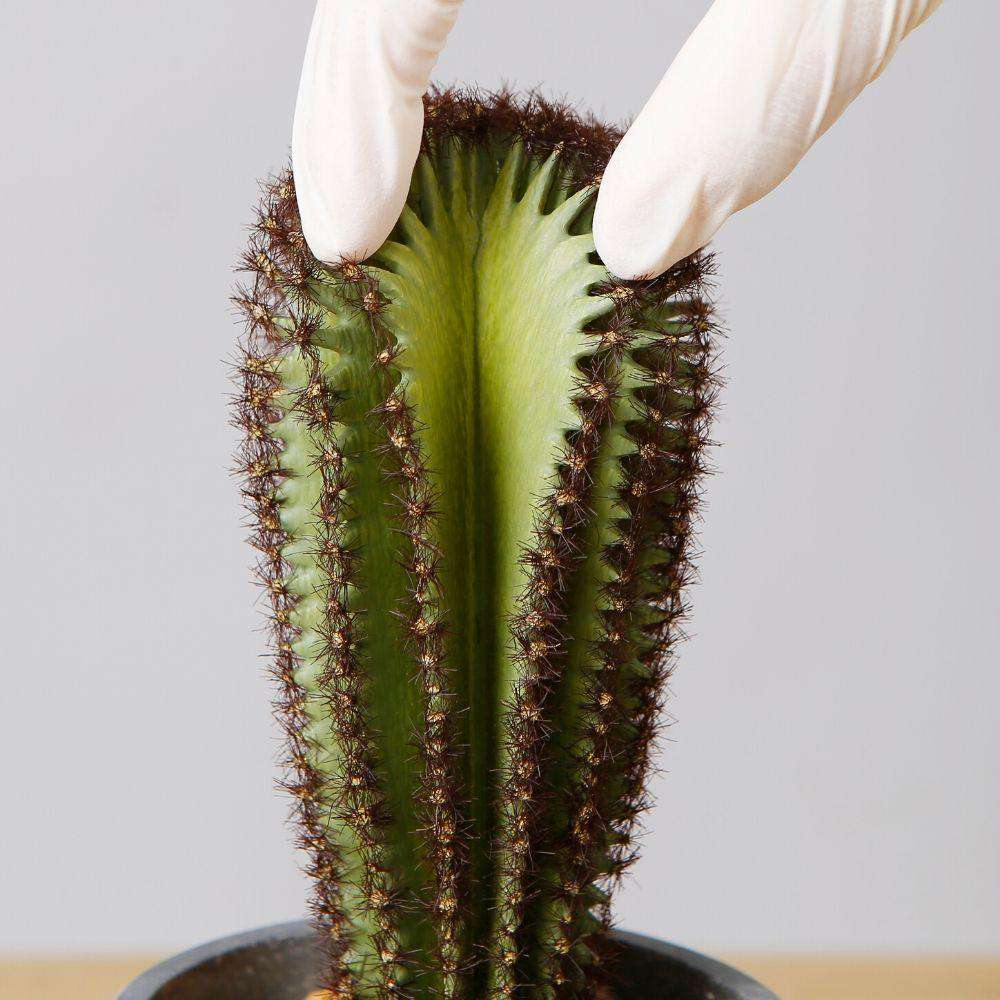 Goza Artificial Cactus Tree Potted Plant 9"